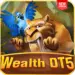 wealth dt5
